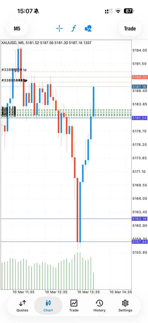GoldTraderMO member celebrating TP2 hit with excitement on March 10, 2026