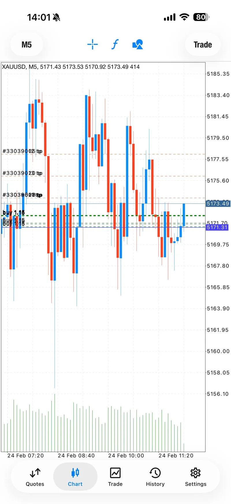 Gold scalping profit screenshot February 24 2026