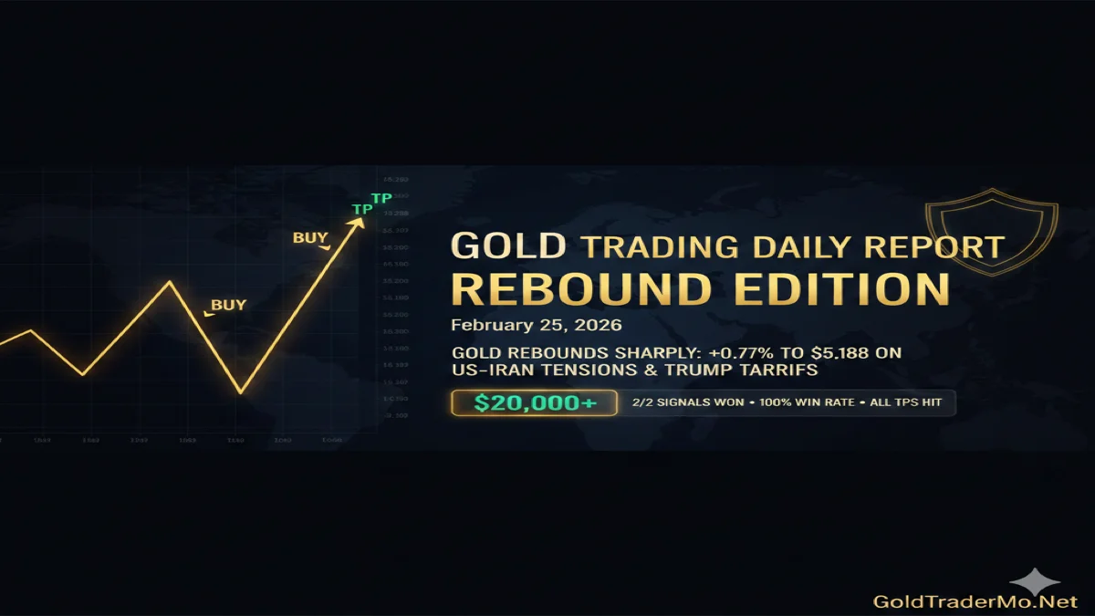 Daily Gold Trading Report — February 25, 2026