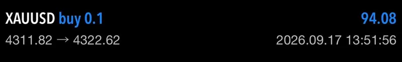 Member feedback screenshot with a 94.08 result line.