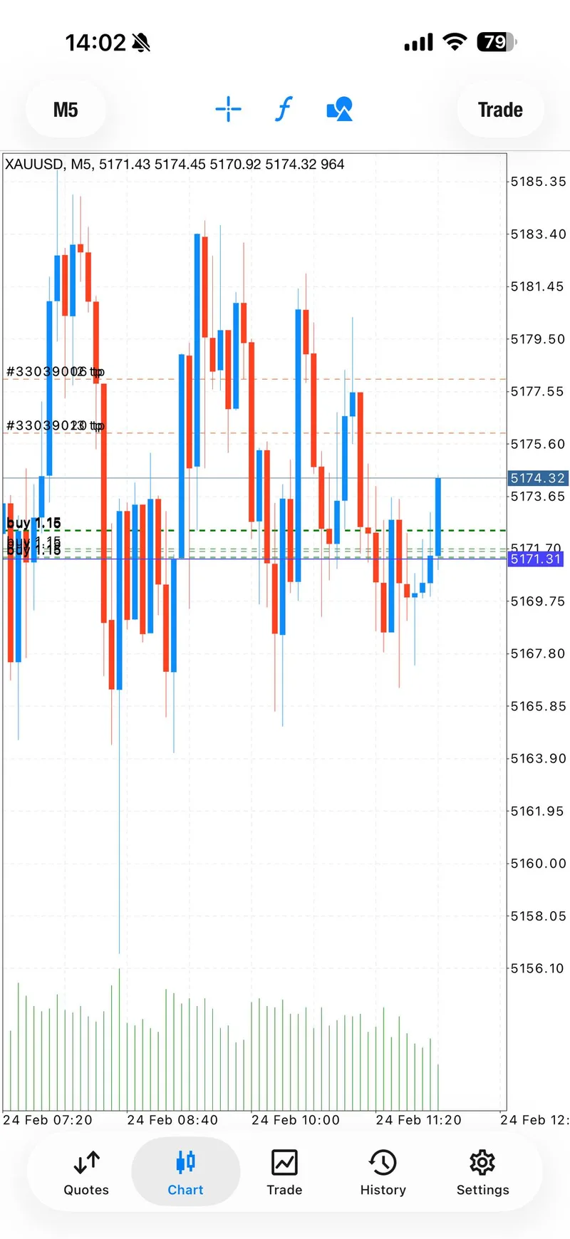 XAUUSD intraday gains screenshot February 24 2026
